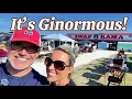 We Didn t Expect These Finds at a Florida Flea Market Swap-O-Rama Webster Haul