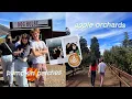 the most fall vlog EVER pumpkin patches apple orchards cozy vibes
