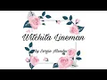 Witchita Lineman ~ Sergio Mendes Love Song Collection '66 to '99