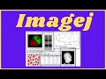Step-by-Step Guide How to Use ImageJ for Image Analysis