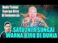 Download Lagu BUITENLANDERS VLIEGEN NAAR INDONESIË OM TE ZWEMMEN IN DE BLAUWSTE RIVIER TER WERELD, \
