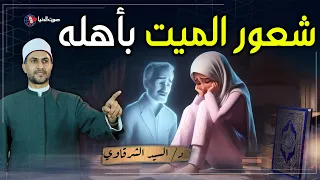 هل يشعر الميت بأهله ويعرف أخبارهم في الدنيا  دندنها