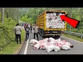 Lagu PADANG GEMPAR : Truk Berisi 47 Karung Daging Manusia di Sitinjau Lauik, Ternyata Desa Lakukan Ini