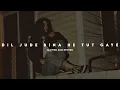Lagu Dil jude bina he tut gaye (full song) || slowed and reverb || zahraa creation