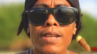 joe mellow mood sound of freedom