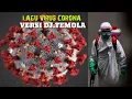LAGU VIRUS CORONA,VERSI DJ TEMOLA