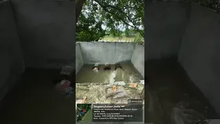                     دندنها
