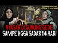 Download Lagu KALIAN TONTON INI BAKAL MERINDING!! 14 HARI PENDAKI INI TIDAK SADARKAN DIRI DARI GUNUNG GEDE