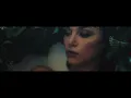 Blossoms - Blown Rose