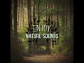 The Sound of Birdsong