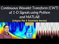 Continuous Wavelet Transform CWT of 1-D Signals using Python and MATLAB