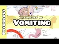 Physiology of Vomiting Vomiting reflex explained for USMLE NEET PG INICET NCLEX