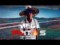 Download Lagu MEGA FUNK FRITOS (DJ LUIS HENRIQUE SC)