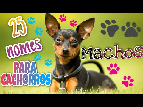 Download MP3 NOMES PARA CACHORROS MACHO 2 | Vocês vão se apaixonar !!!