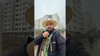 سوريا يا حبيبتي 