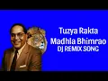 Download Lagu Tuzya Rakta Madhla Bhimrao Dj Remix Song