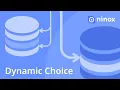 Dynamic Choice Intermediate Ninox Tutorials