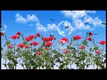 Be with you (lyric Natashia Midori) 💞Gospel songs of my life💞