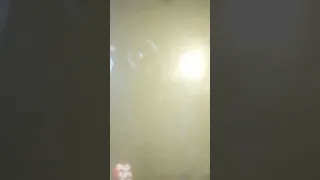 وصلت مستوى 22 ما كصدك 