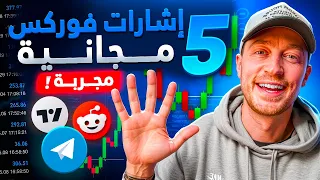 أفضل وأسوأ إشارات الفوركس المجانية بعد اختبار عملي دندنها