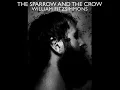 William fitzsimmons After afterall