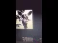 Mangle s real gender A guy or a girl