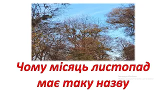 Чому місяць листопад має таку назву 