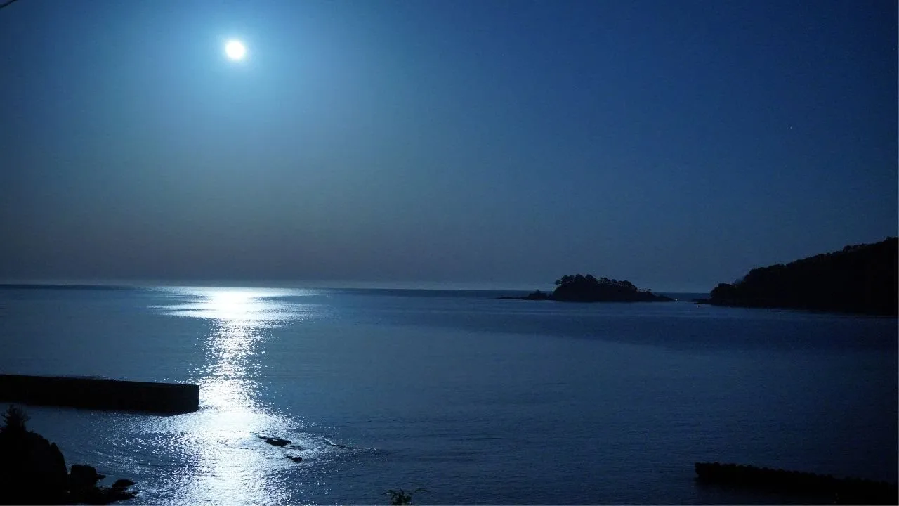 ベートーヴェン月光　日本の四季　Beethoven Moonlight　Japans four seasons