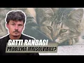 Lagu In Nuova Zelanda e Australia i gatti sono un grosso problema
