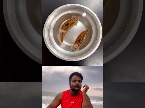 MAGIC FISH REAL OR FAKE 😱 - #shorts #trending #viral #youtube