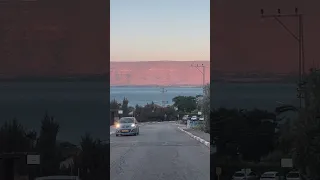 ساريه السواس شلونو شلونو 