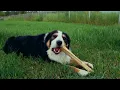 Waylon Wyatt - Otherside (Lyric Visualizer)