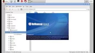 NetBeans IDE run on Raspberry Pi 2 Java get CPU frequency by cat sys scaling - cur