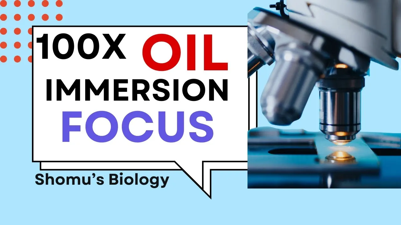 Microscope adjustment for oil immersion | How to use oil immersion objective lens