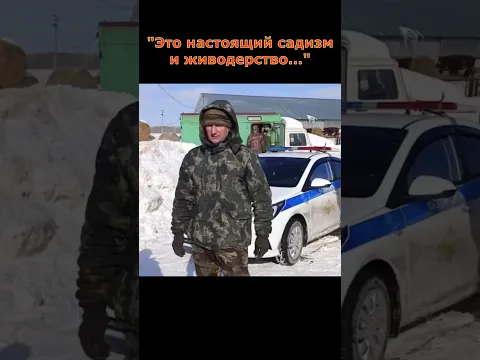 Николай Бондаренко "разгромил" чиновников уничтожающих скот в Новосибирской области