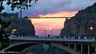 سيرتا تبكي Sami Youress 