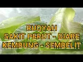 Download Lagu RUQYAH SAKIT PERUT - KEMBUNG - DIARE -SEMBELIT - الرقية الشرعية لعلاج البطون