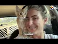 Woman Swore She Was A Dog Person Until Her Dog Adopted A Kitten | The Dodo