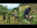 Download Lagu Moment of life and death: Once again, the girl Tieu Nu saves police officer Cuong from death.
