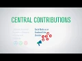 DDF Animation