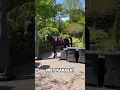 Download Lagu Mijn paard POEPT in onze TUIN?! 😂💩