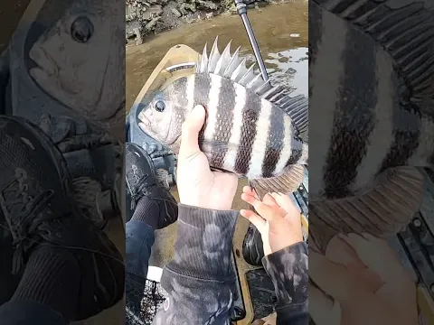 Eating What I Catch UNDER Docks 🎣
