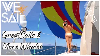 Great Sails & More Whales | Episode 110