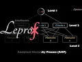 Multi-criteria Decision Making Analytical Hierarchy Process AHP LE PROFESSEUR