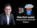 Nuke Revit models using Dynamo Python Revit API