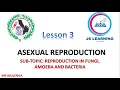 Download Lagu Reproduction in Fungi,Amoeba and Bacteria |2025 Biology Revisions|