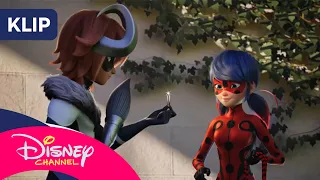 🆚 Czarny Kot kontra Biedronka | Miraculous: Biedronka i Czarny Kot [KLIP] | Disney Channel Polska