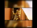 Download Lagu tujhe dekha to ye jana sanam tik tok video