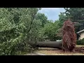 Hundreds without power in south Springfield neighbors help clean up after severe thunderstorms F
