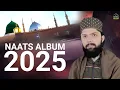Best of Wali Ahmed Chishti top 6 kalams || Naats Album || 2024 Special ||